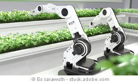 © Es sarawuth - stock.adobe.com