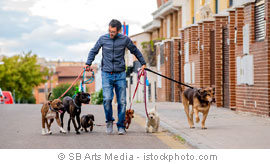 © SB Arts Media - istockphoto.com