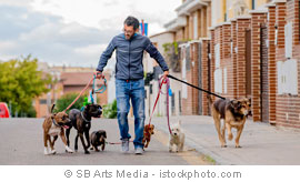 © SB Arts Media - istockphoto.com