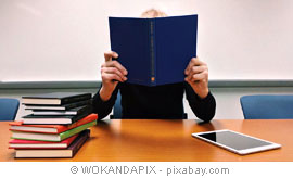© WOKANDAPIX - pixabay.com